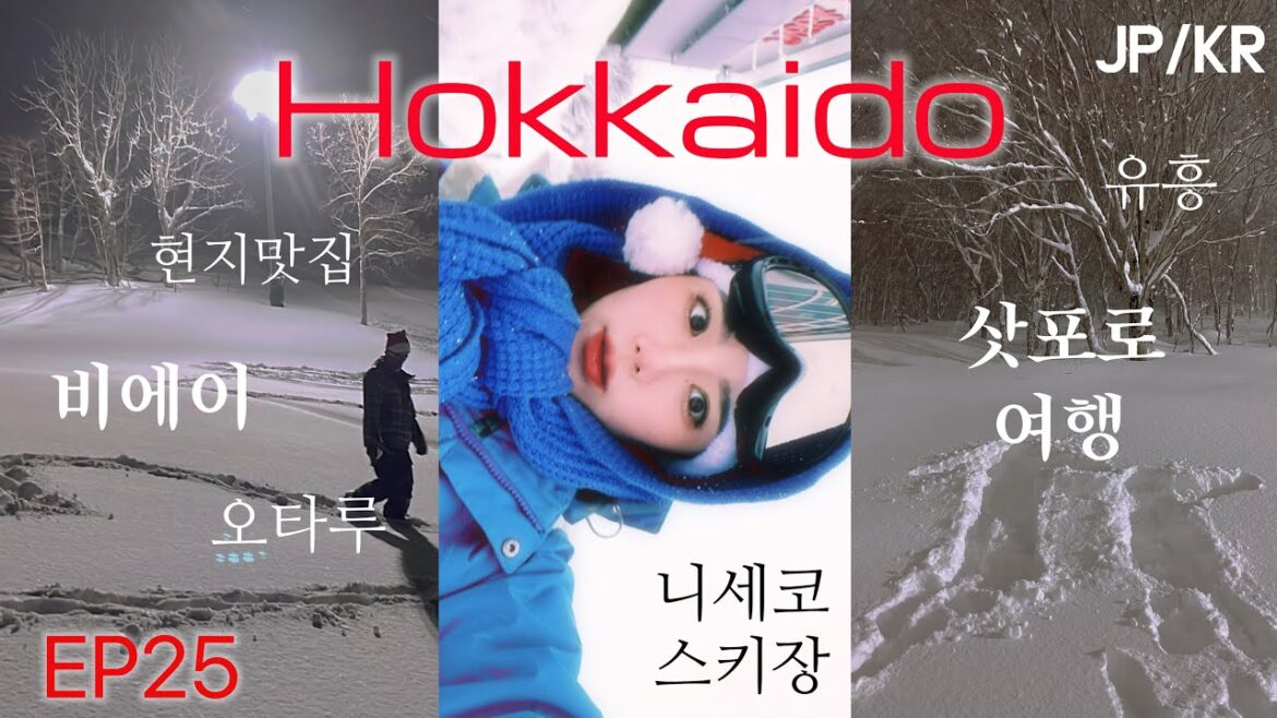 [도쿄일상 vlog]일본인남친이랑 홋카이도 삿포로여행 3박4일 (삿포로/비에이/오타루/니세코스키장/현지맛집/유흥/크리스마스트리/청의호수라이트업/흰수염폭포/닝구르테라스/징기스칸맛집)