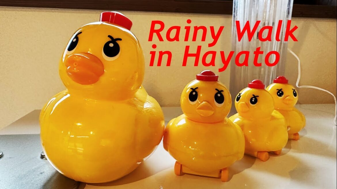 🔴 LIVE Kyushu Rainy Walk in Hayato, Kirishima