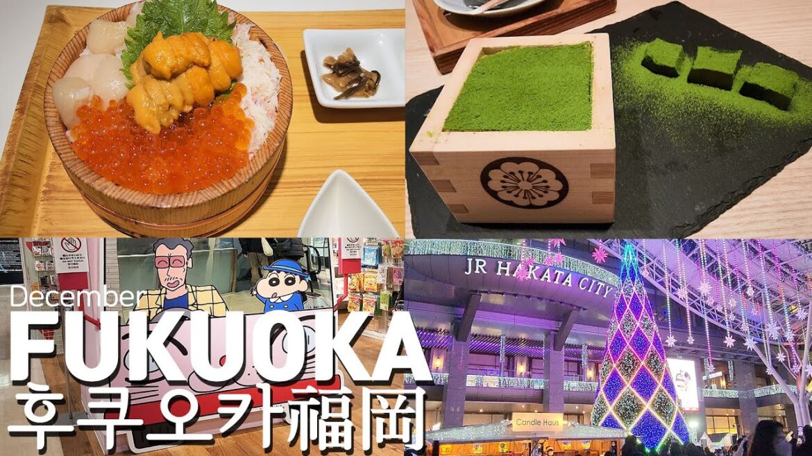 [여행vlog] 후쿠오카 여행 DAY.2 ✈️ 하카타 일루미네이션 / 캐널시티 / 이토시마쇼쿠도 / 짱구샵 / 타코야끼트럭 🎄 Fukuoka travel 福岡