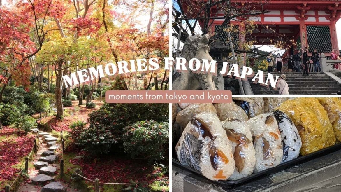 memories from our trip to japan🗼- teamlab, kyoto, & tokyo