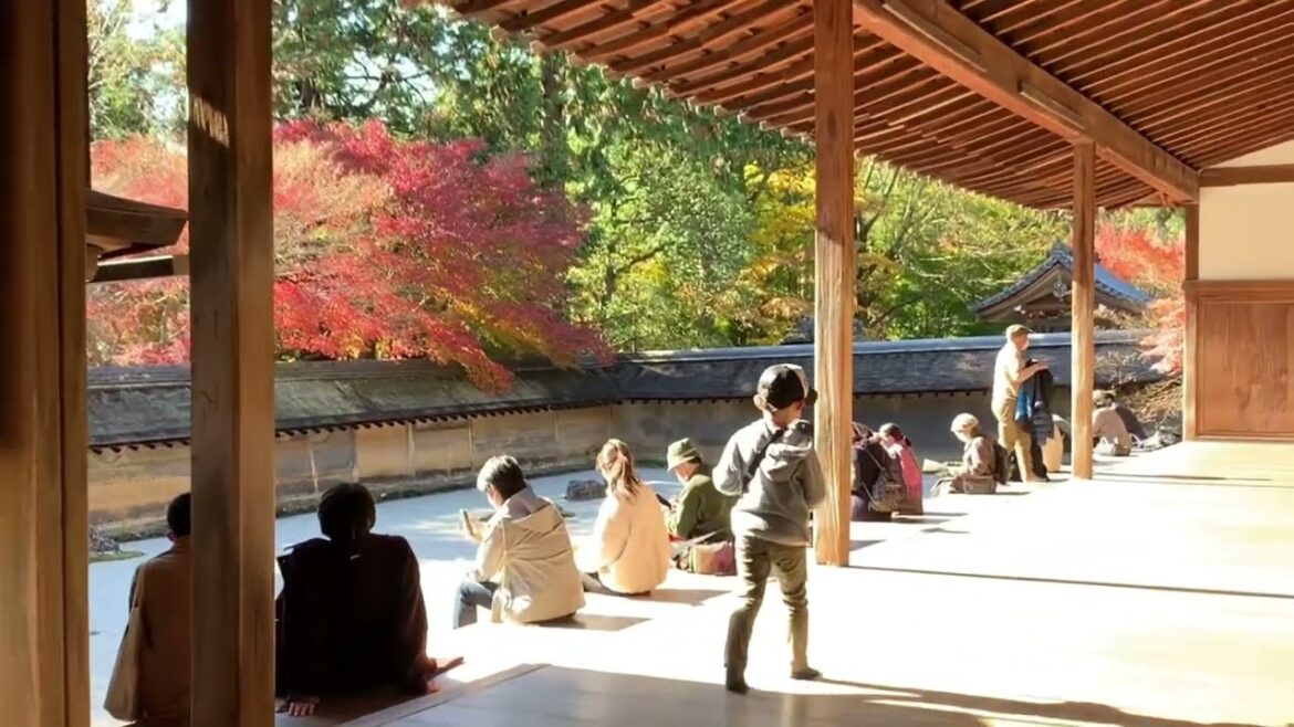 The Magical Zen Gardens of Kyoto