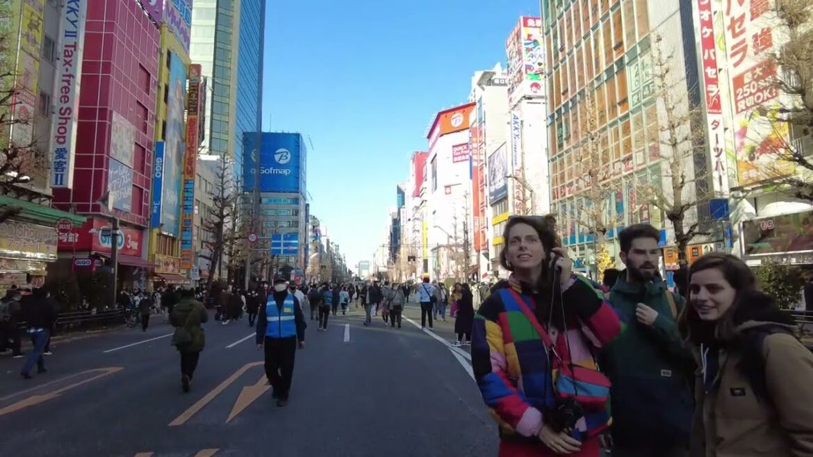 Akihabara Pedestrian Paradise. Weekend Walk - Tokyo 2023