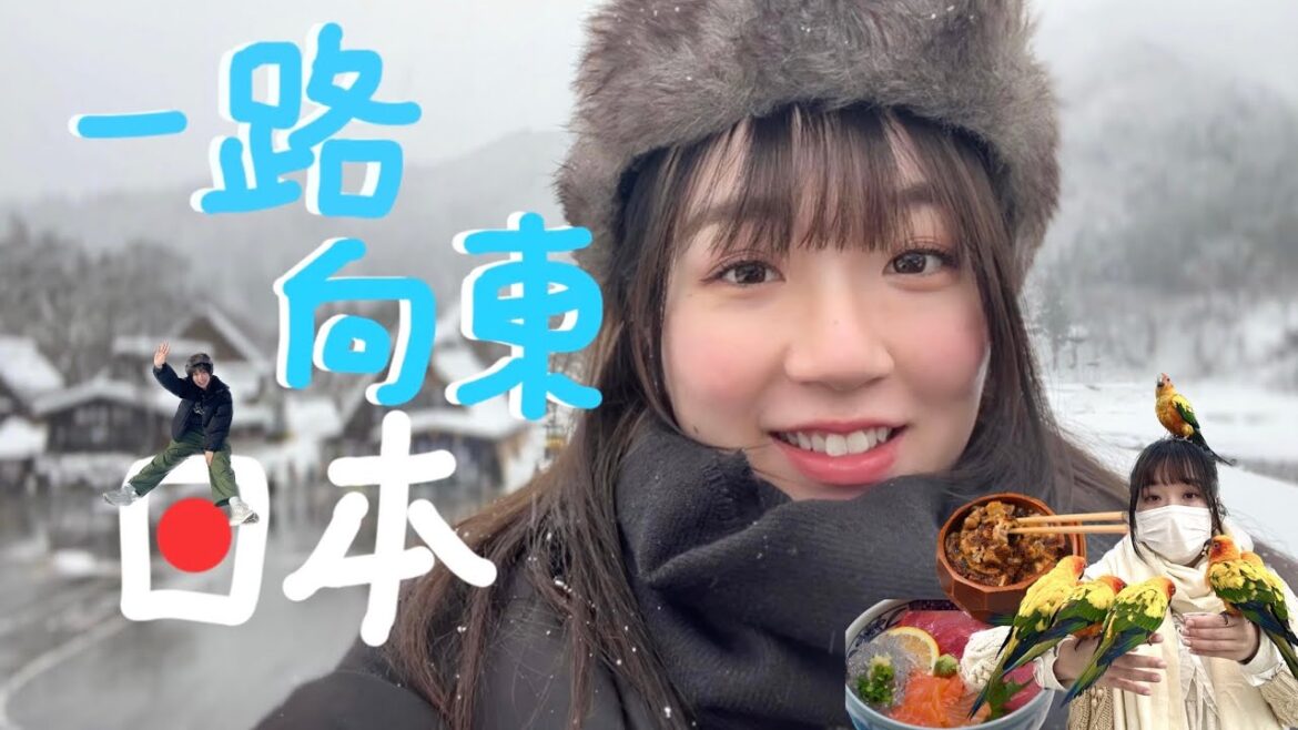 【自駕遊日本】帶你由東京玩到落名古屋🏯🚙 六個少衆打卡景點📸 (鎌倉洗錢神社💰燒津漁市場食海鮮🍣掛川花鳥園 雀鳥近距離接觸🐥 名古屋鰻魚三重奏食法🍱高山 飛驒牛壽司 )