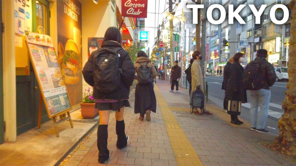 [4k] Tokyo - Walking from Waseda to Takadanobaba. Student town ♪ (Dec. 2022)