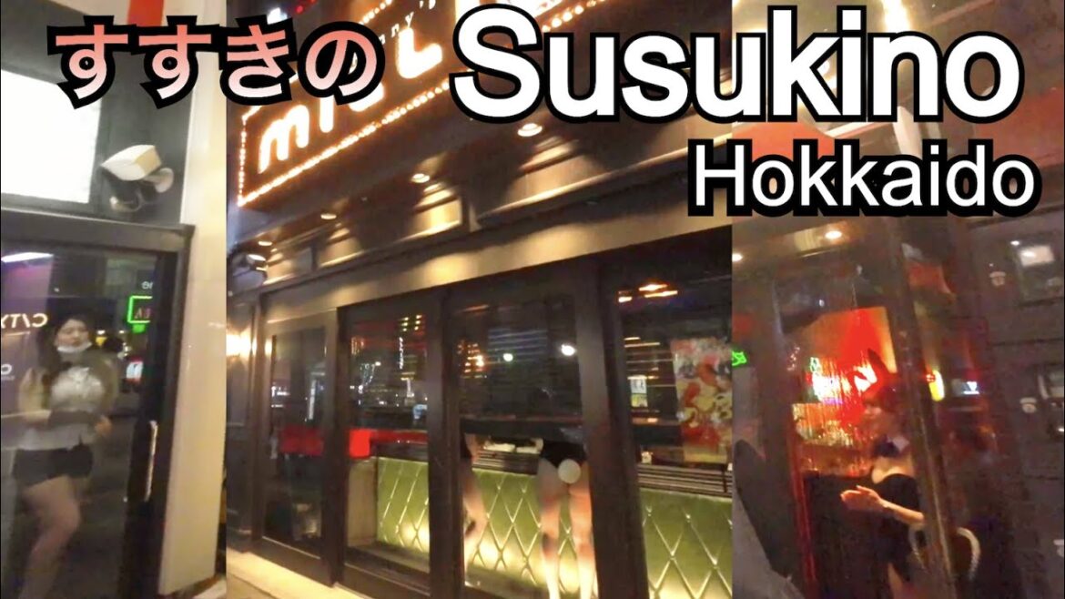 Night Walk in Susukino, Sapporo, Hokkaido/the adult nightlife downtown/すすきの [Japan Walk]