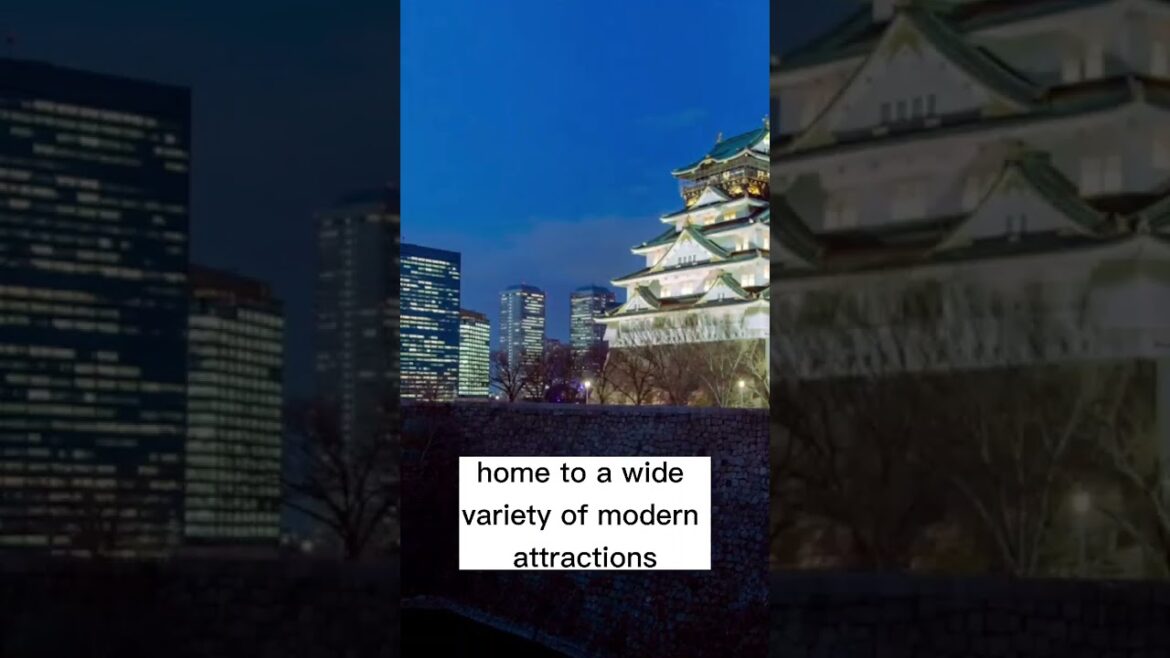 Best things to do in Chiyoda, The Heart of the Tokyo – Travel Video #shorts Best things to do in Chiyoda, The Heart of the Tokyo - Travel Video #shorts