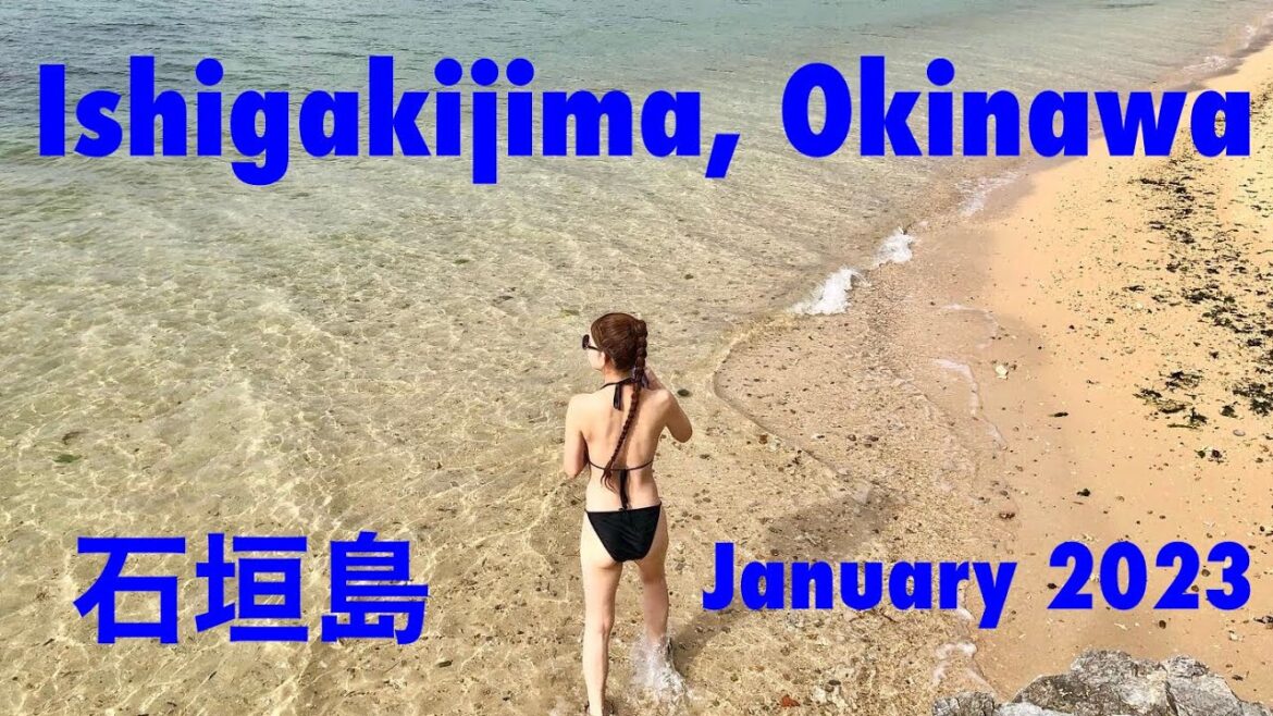 Ishigaki Island, Okinawa, January 2023 8 days trip / 沖縄・石垣島2023冬 / 初めての石垣島 8日間の旅 Ishigaki Island, Okinawa, January 2023 8 days trip / 沖縄・石垣島2023冬 / 初めての石垣島 8日間の旅