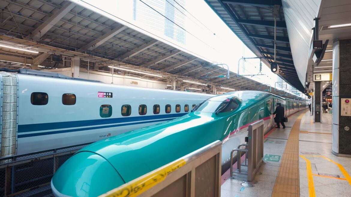 [JR EAST PASS] Visit Nikko from Tokyo by Shinkansen JAPAN RAIL PASS