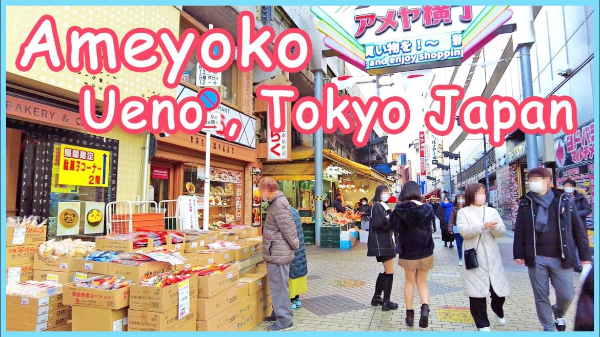 walk in Ameyoko , Ueno 4K (Jan. 2023)