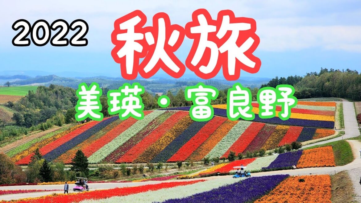 北海道 美瑛の丘めぐり2022秋 介绍美瑛的魅力 美瑛放牧酪農場 美瑛選果 十勝岳温泉 白金青池Hokkaido(Biei hill tour) 北海道 美瑛の丘めぐり2022秋 介绍美瑛的魅力 美瑛放牧酪農場 美瑛選果 十勝岳温泉 白金青池Hokkaido(Biei hill tour)