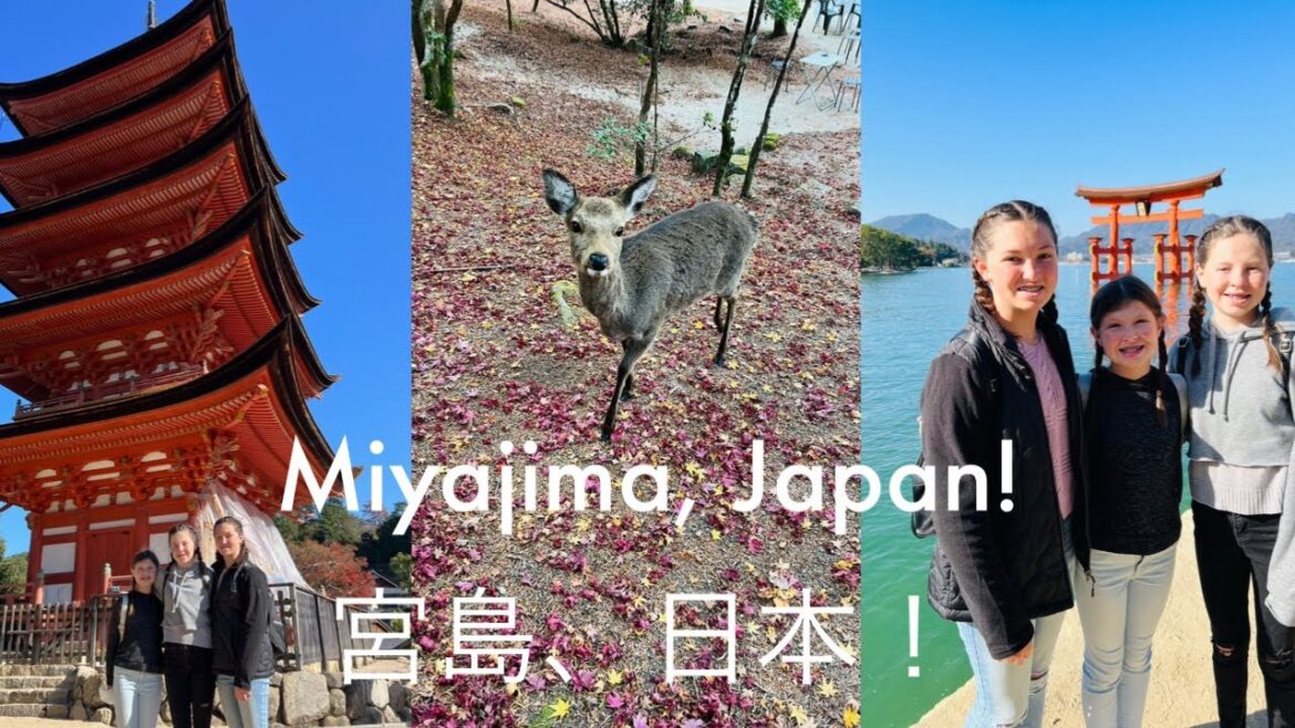 Our trip to Miyajima, Japan! 宮島、日本! Our trip to Miyajima, Japan! 宮島、日本!