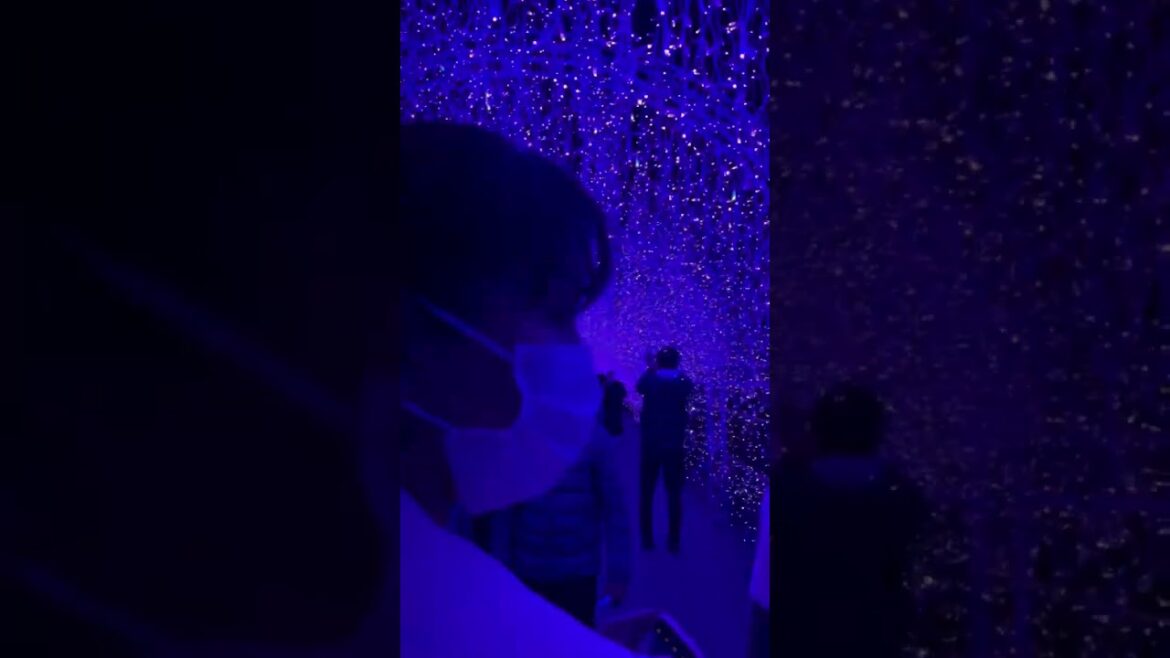 Enoshima sea candle | Japan Travel | Tokyo | 江の島 | 小島 | 海のビーチ |  イルミネーション