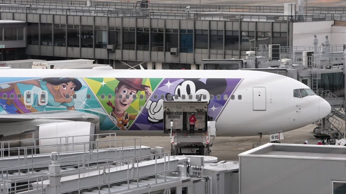 Osaka Japan crosswind landings (Itami Airport Live Stream) 伊丹空港