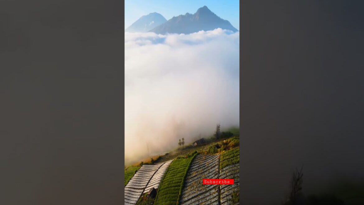 ๐๐ Sri Lanka's beautiful landscape,mountainous environment ๐๐ค #shorts #vairal #youtubeshorts ๐๐ ๐๐ Sri Lanka's beautiful landscape,mountainous environment ๐๐ค #shorts #vairal #youtubeshorts ๐๐