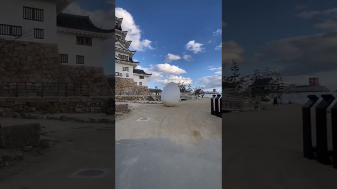 福山城に巨大な無数の卵。  #福山市 #福山アンバサダー #fukuyama #japan #cooljapan #fukuyamacity #福山城光の祭 #shorts  福山城