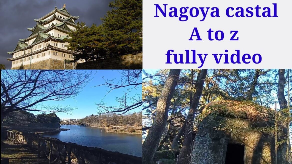 Nagoya castal // nagoya castal in Japan//nagoya castal inside// nagoya tour //nagoya city japan