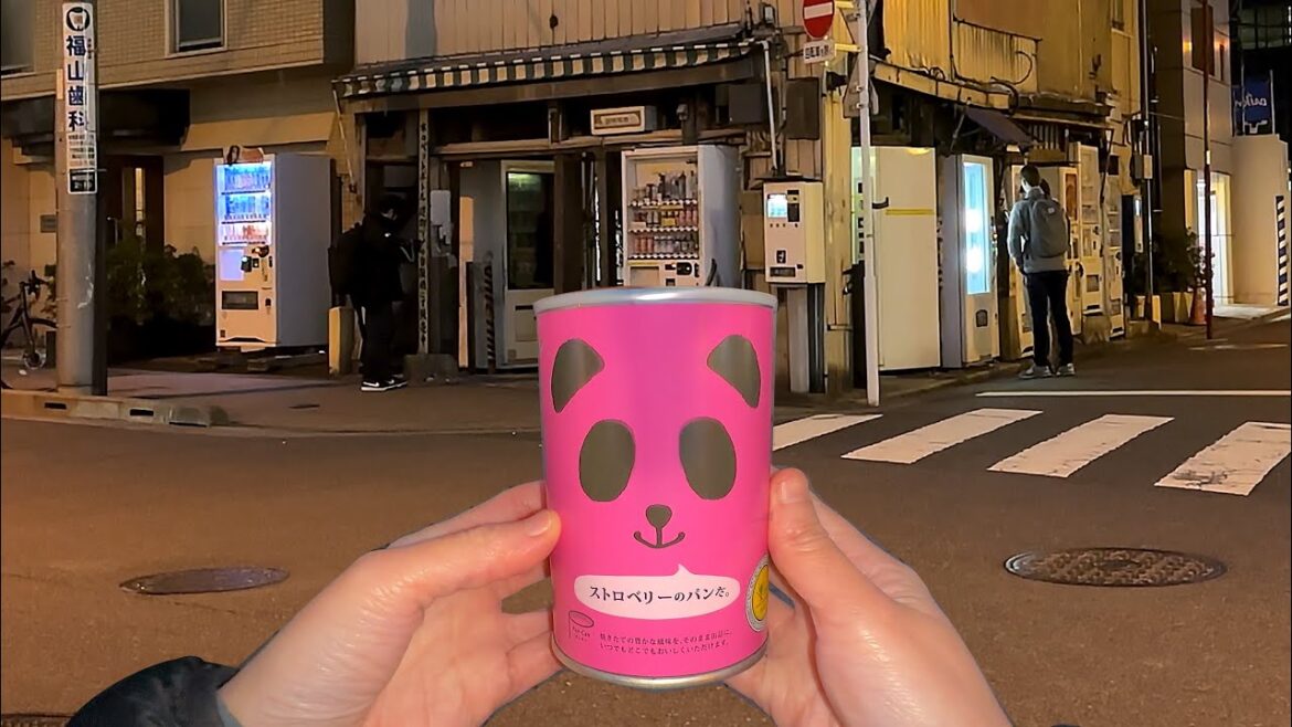 Eating the Strangest Vending Machine in the World