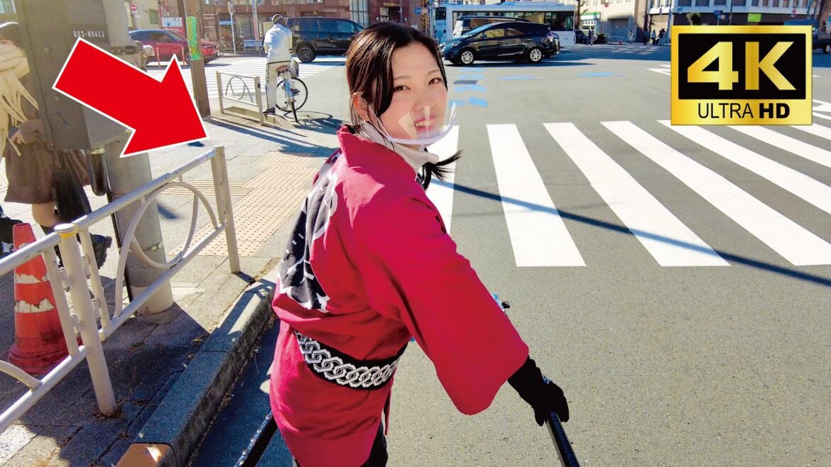 A cute Japanese girl Rie-chan guided me around the New Year's Day Asakusa by rickshaw😊| Tokyo