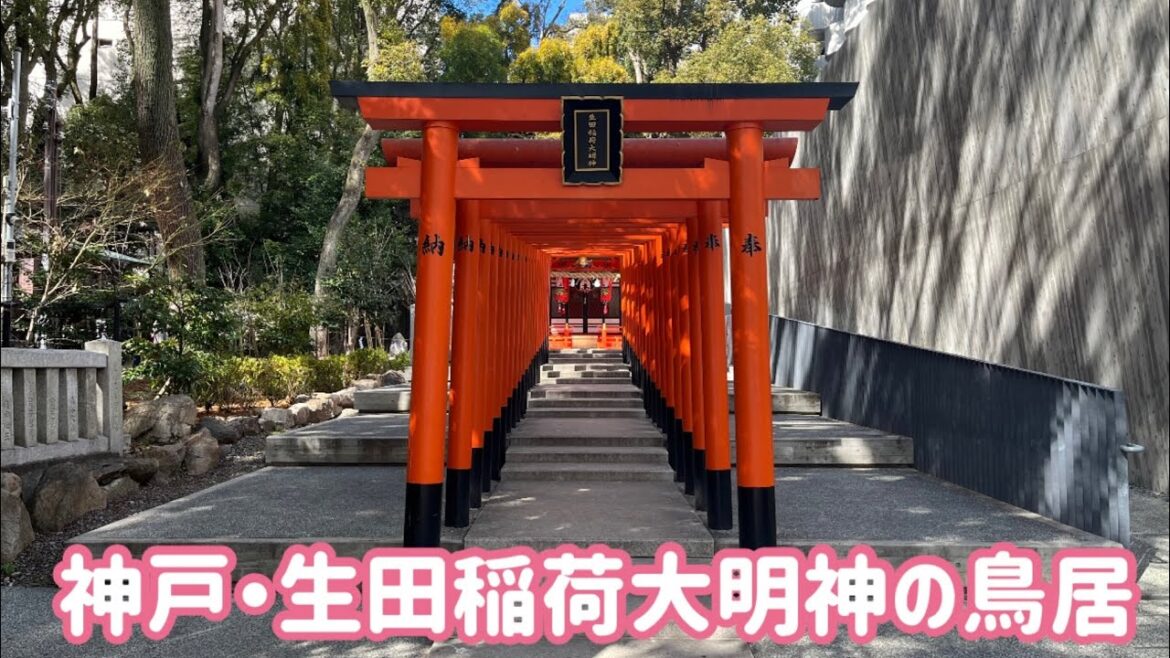 神戸の生田稲荷大明神の鳥居⛩⛩⛩ / Kobe Trip