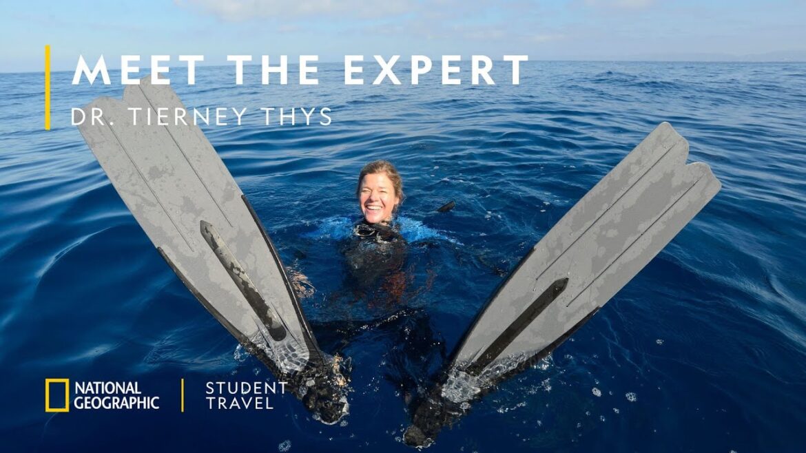 [Webinar] National Geographic Student Travel: Meet an Expert