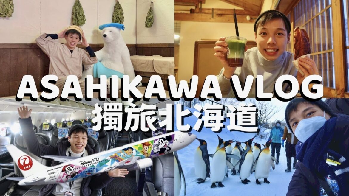 獨旅旭川Vlog | 雪中與企鵝散步,星野旭川OMO7開箱✈️日本航空X迪士尼聯名飛機,first love初戀經典場景,北海道美食之旅(抽獎活動) 獨旅旭川Vlog | 雪中與企鵝散步,星野旭川OMO7開箱✈️日本航空X迪士尼聯名飛機,first love初戀經典場景,北海道美食之旅(抽獎活動)