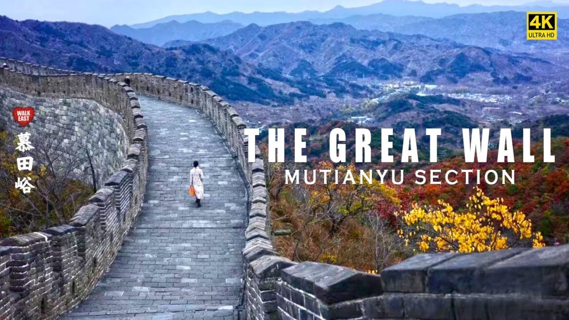 The Great Wall – Mutianyu Section Walking Tour, the Best Great Wall Section of China | 4K HDR The Great Wall - Mutianyu Section Walking Tour, the Best Great Wall Section of China | 4K HDR