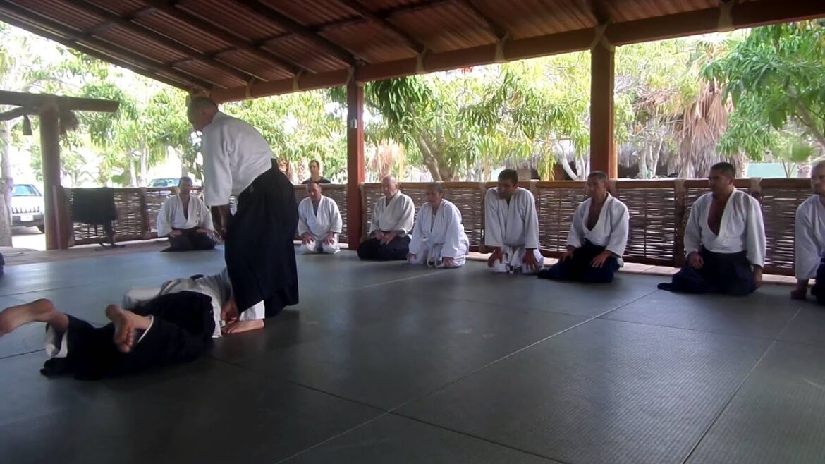 Keep it Moving! - with Didier Boyet shihan of Hombu Dojo