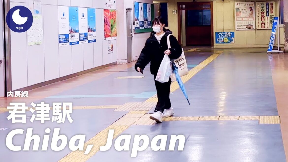 ⁴ᴷ Japan: Kimitsu Station, Chiba / Uchibo Line : Walking Tour 60fps (January, 2023) ⁴ᴷ Japan: Kimitsu Station, Chiba / Uchibo Line : Walking Tour 60fps (January, 2023)