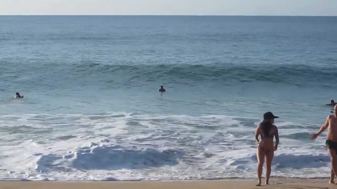 Waimea Bay Beach Waves North Shore Oahu Hawaii (March 2013)