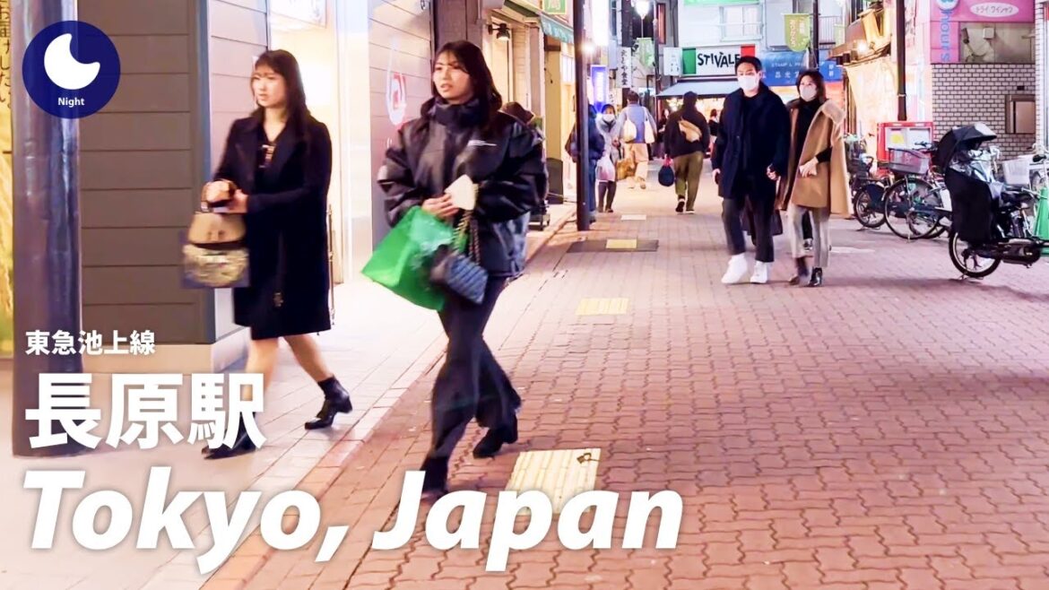 ⁴ᴷ Japan: Nagahara Station, Tokyo / Tokyu Ikegami Line : Walking Tour (December, 2022) ⁴ᴷ Japan: Nagahara Station, Tokyo / Tokyu Ikegami Line : Walking Tour (December, 2022)