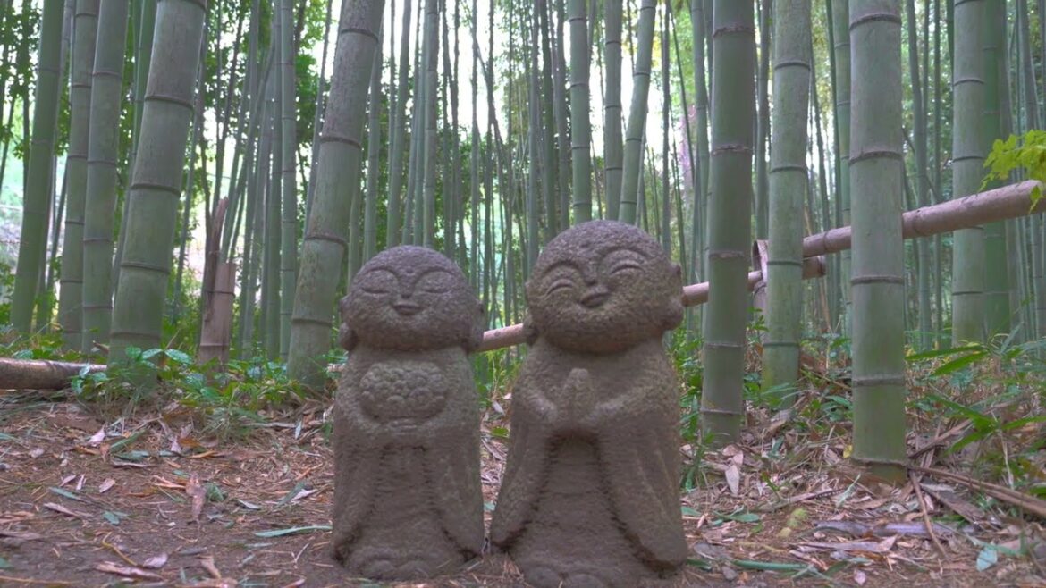 Japan Trip Winter 2022 [4K] - Ep. 3 Return to Monkey (Kyoto Day 2)