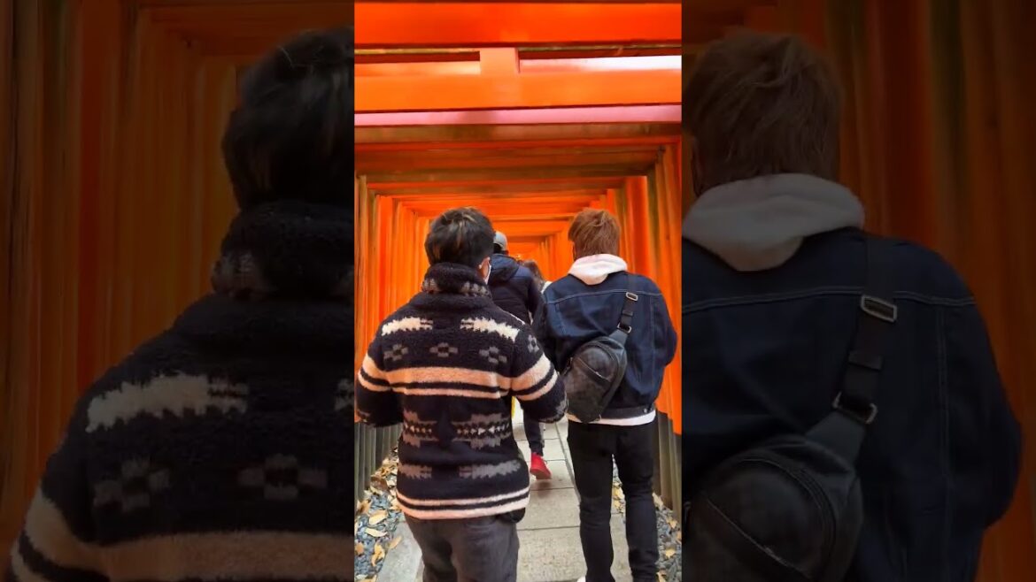 A day in Kyoto, Japan