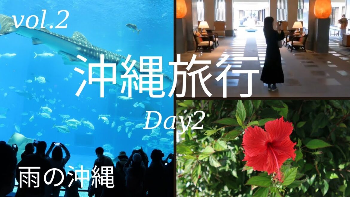 【沖縄旅行②】ヒルトン沖縄瀬底での朝食、美ら海水族館とオキナワハナサキマルシェのポーたま。リッツカールトンでアフタヌーンティー🛩雨の沖縄を楽しむ【冬の沖縄2泊3日2日目】