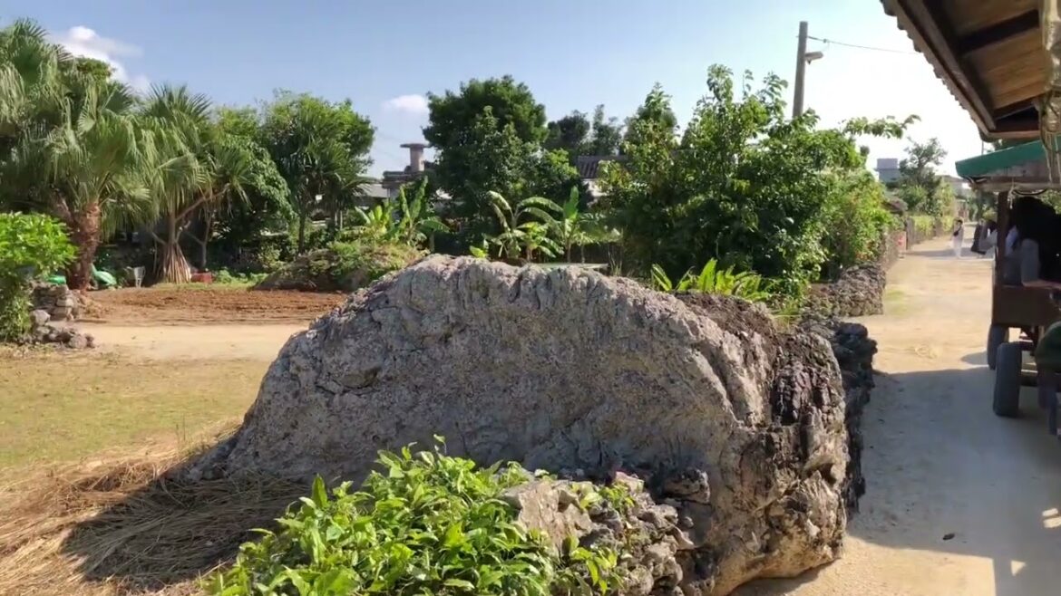 【沖縄旅行】八重山の旅2022/Vol,2 OKINAWA〜(竹富島)島内散策~水牛車 【沖縄旅行】八重山の旅2022/Vol,2 OKINAWA〜(竹富島)島内散策~水牛車