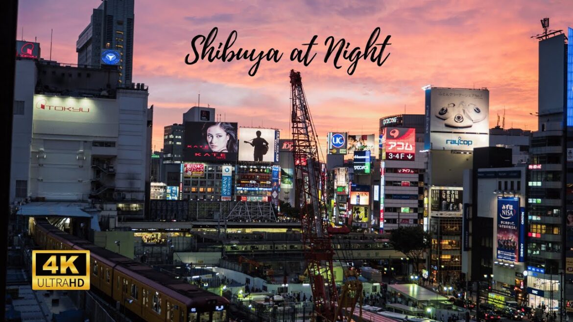Tokyo Shibuya at Night - 4K