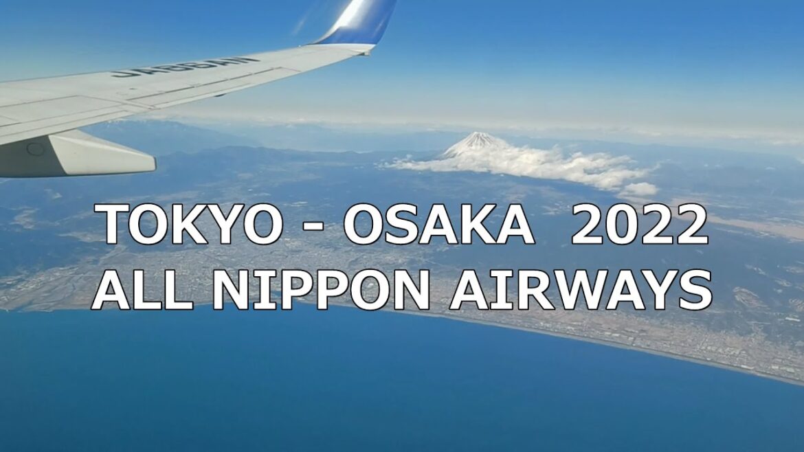 ALL NIPPON AIRWAYS TOKYO - OSAKA 2022 BGM: TANGERINE DREAM "TANGRAM SET 1"