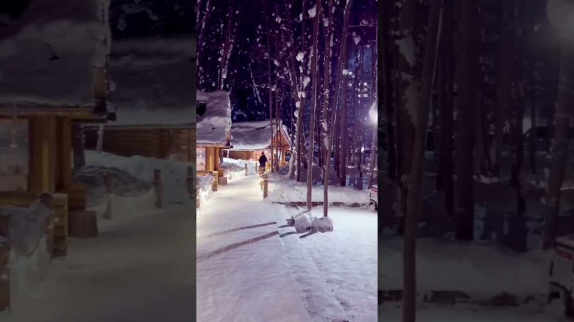 北海道｜富良野｜精靈森林露台｜Furano Hokkaido, Japan