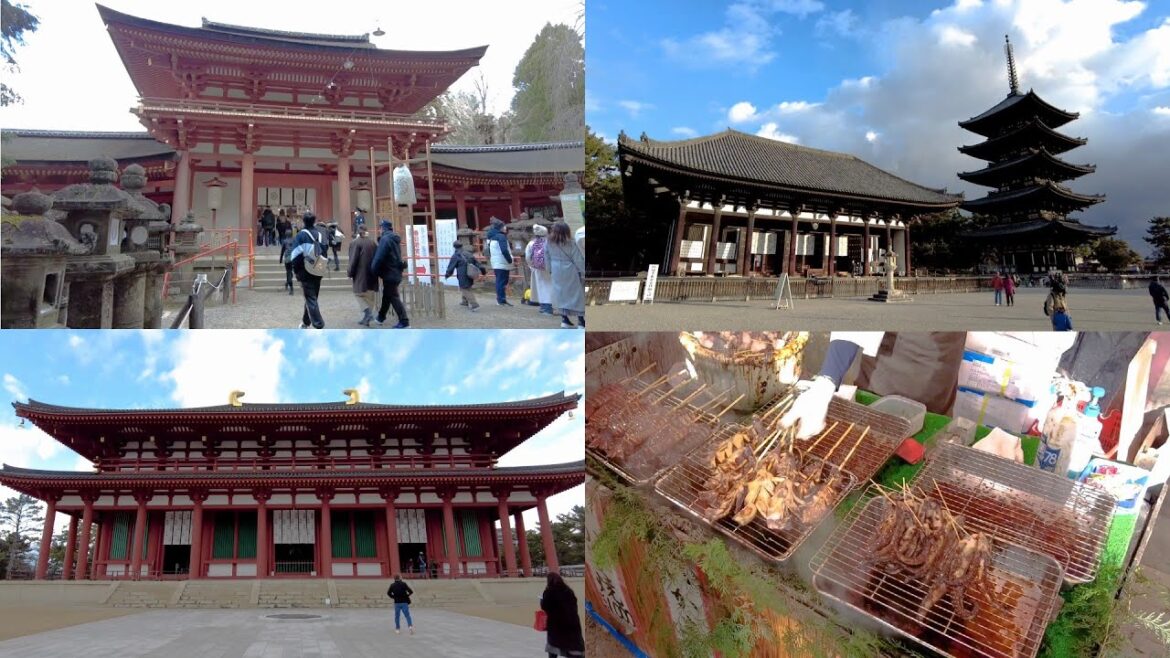 #005｜Nara’s most celebrated Shinto shrine [Kasuga Taisha Shrine/Kofukuji Temple] (Nara)