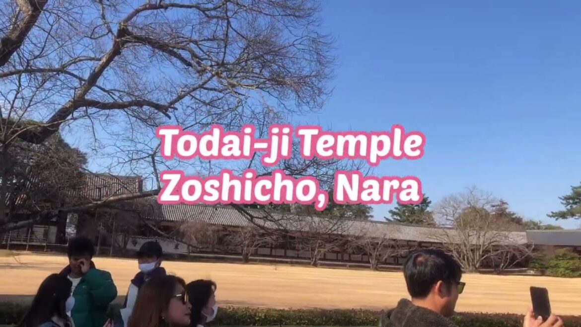 New Year Travel 2023