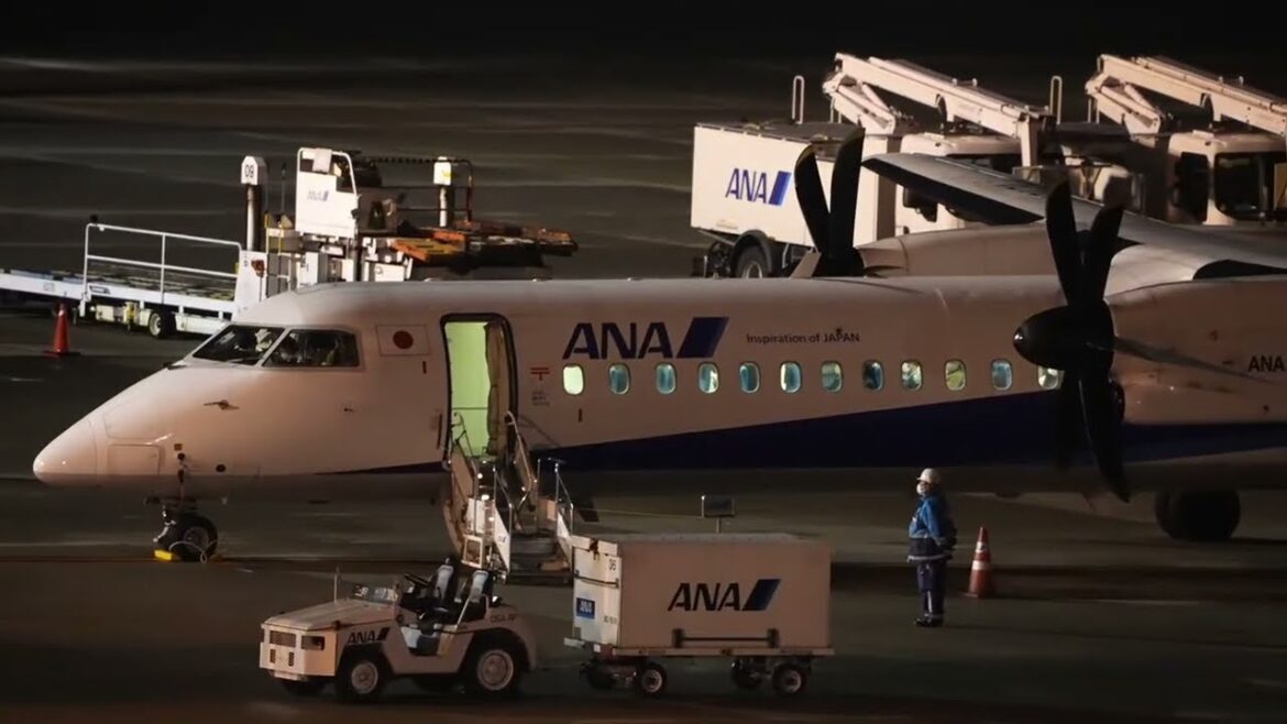 Osaka Japan (Itami Airport Live Stream) 伊丹空港