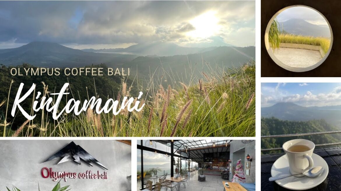 Kintamani Olympus Coffee