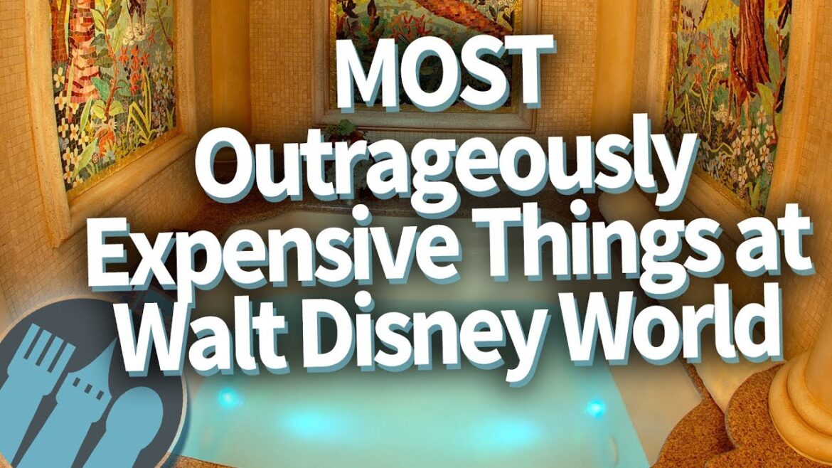 The MOST Outrageously Expensive Things at Walt Disney World! The MOST Outrageously Expensive Things at Walt Disney World!