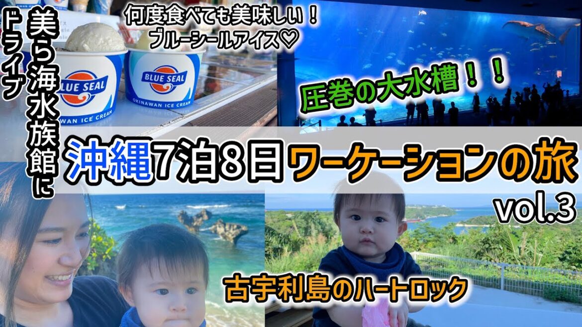 【沖縄ワーケーション】美ら海水族館 古宇利島のハートロック レンタカーでドライブday|2022 Okinawa vlog vol.3 【沖縄ワーケーション】美ら海水族館 古宇利島のハートロック レンタカーでドライブday|2022 Okinawa vlog vol.3