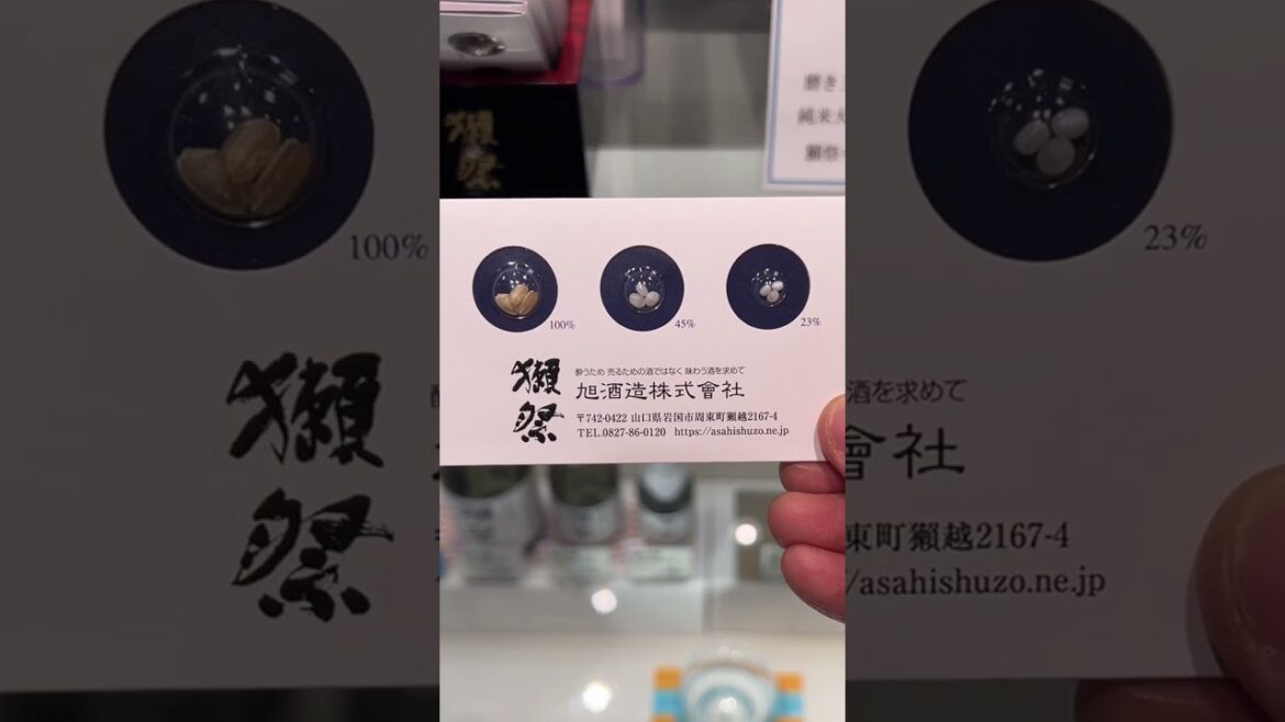 일본 여행 필수 구매 아이템 닷사이23 l 후쿠오카 닷사이 직영점 소개