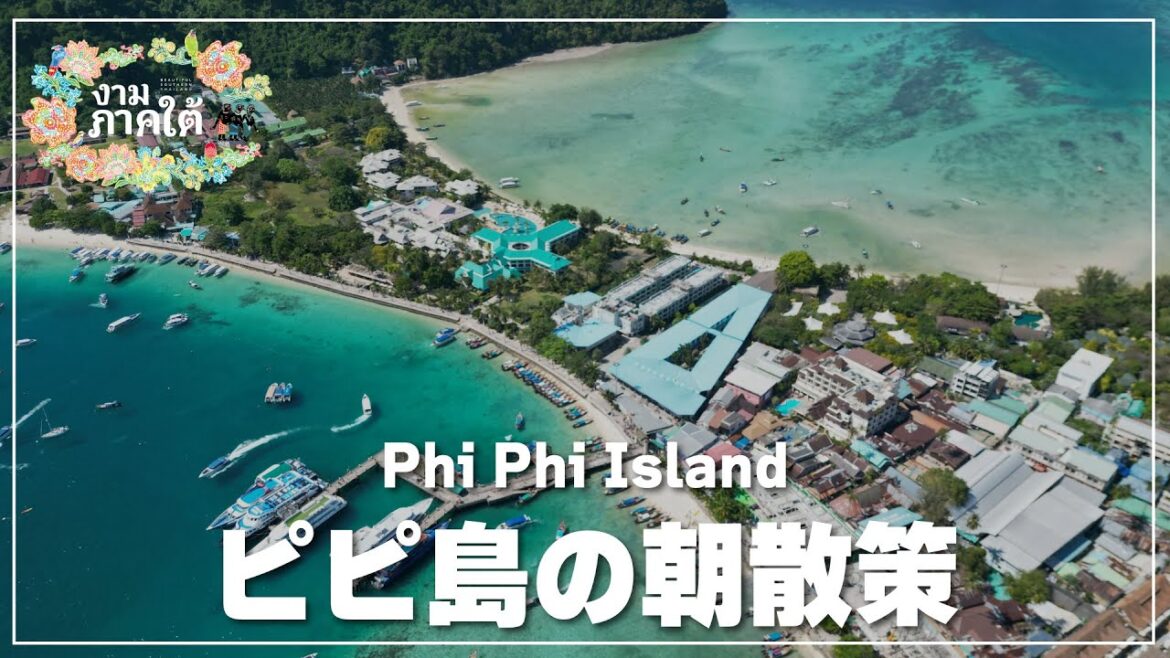 ピピ島の朝散策｜Phi Phi Island