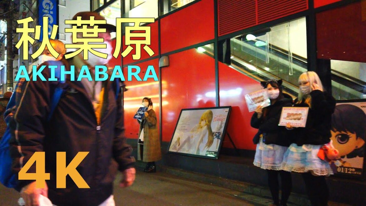 【4k】Tokyo night walk-Akihabara🐇夜の秋葉原を散歩＜成人の日＞