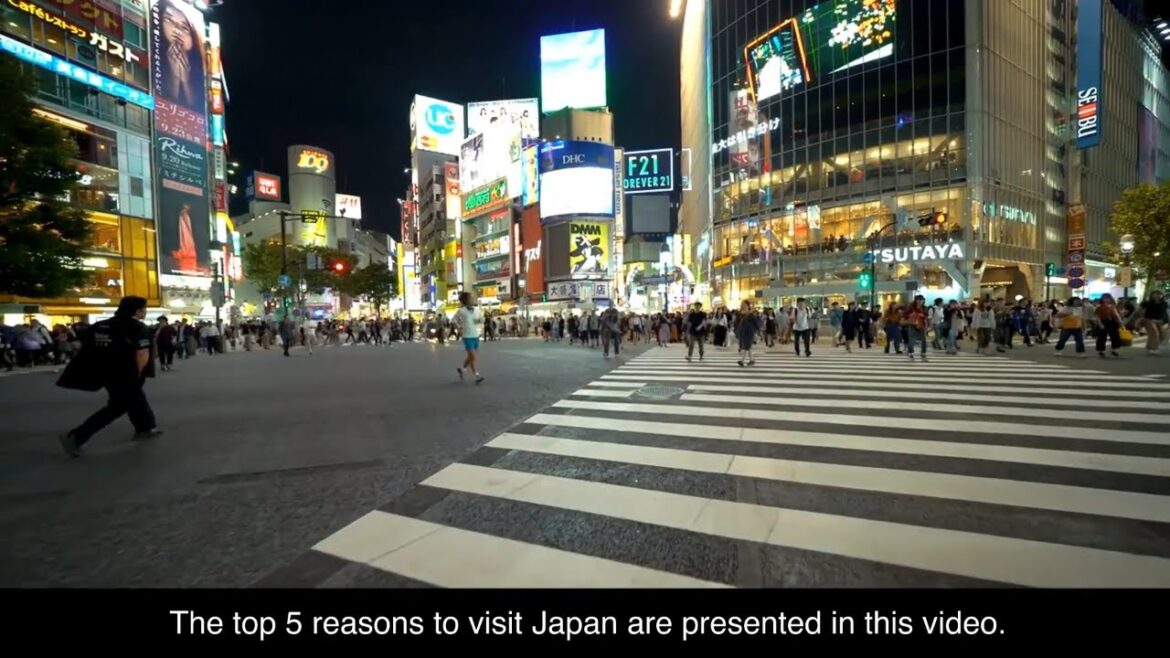 Travel Guide 2023: Japan