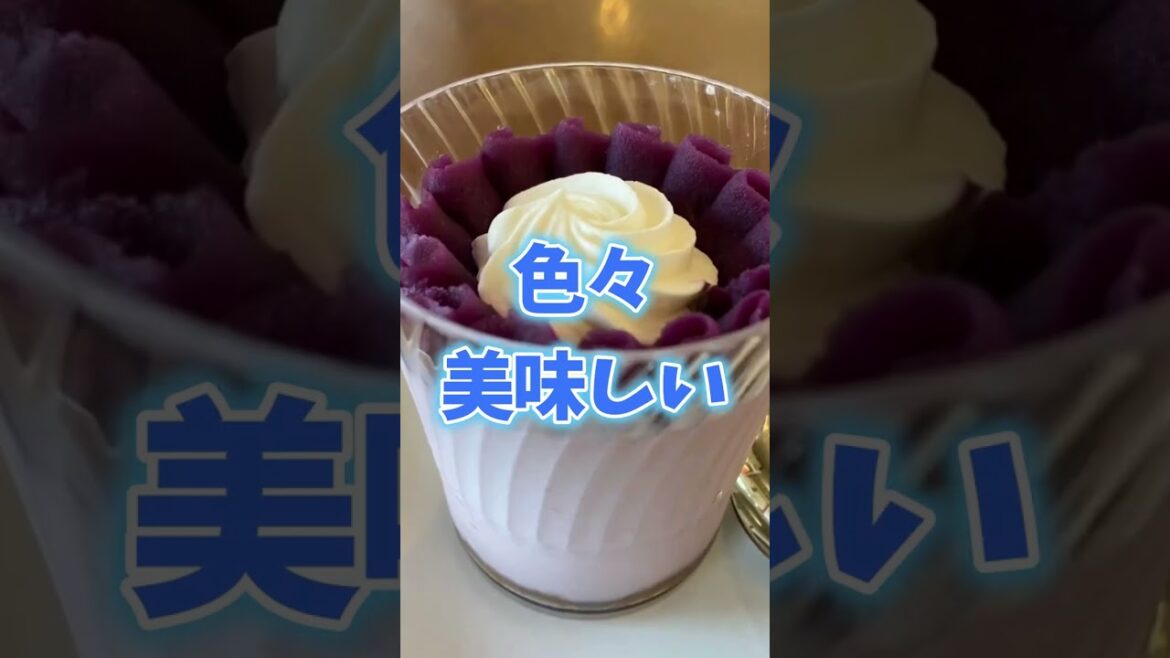 🌈沖縄オススメの観光コース🌺#Shorts #沖縄旅行 ☆万座毛からアメリカンビレッジへと南下するコースです🚙