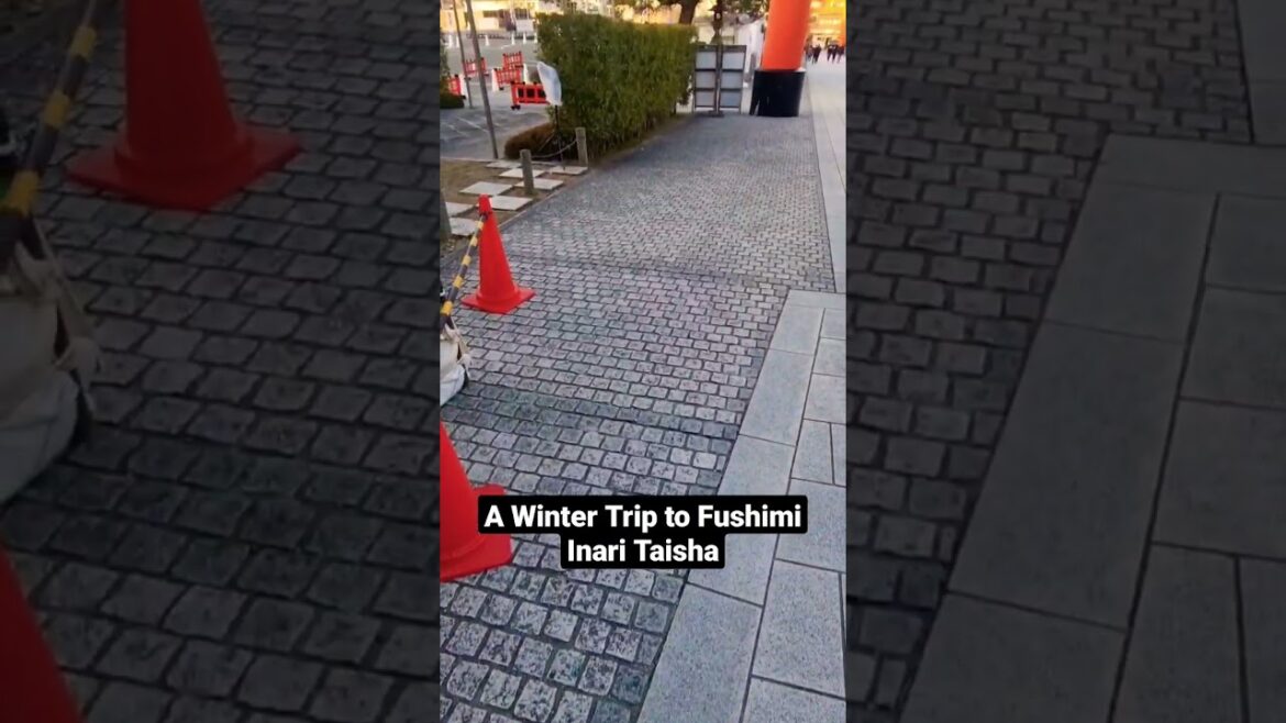 A Winter Trip to Fushimi Inari Shrine #shorts #kyoto #japan
