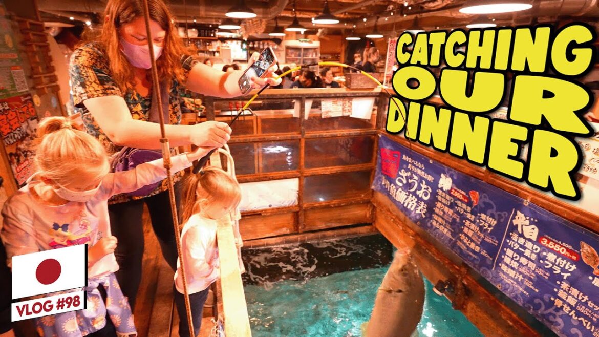 Catching LIVE fish for dinner in Japan! Catching LIVE fish for dinner in Japan!